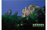 網(wǎng)絡(luò)熱門純玩游：張家界、天子山、袁家界、楊家界 自助三日游