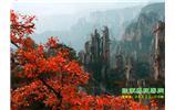 春節(jié)期間：張家界、天子山、金鞭溪自駕車精華精品游