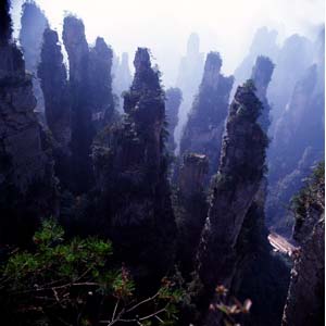 【純玩拼團(tuán)線路】下午班：鳳凰古城、張家界、天子山三晚四日游