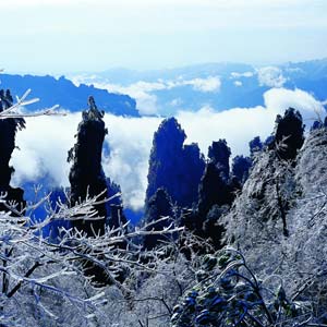 LD線：張家界、天子山、楊家界、猛洞河漂流純玩四日游