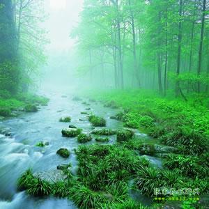 【純玩散拼尊享系列3】張家界、天子山、袁家界、黃龍洞、鳳凰三晚四日游