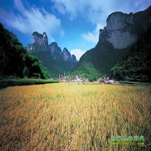 張家界往返純玩散拼：矮寨大橋、德夯苗寨、鳳凰古城、芙蓉鎮(zhèn)二日游