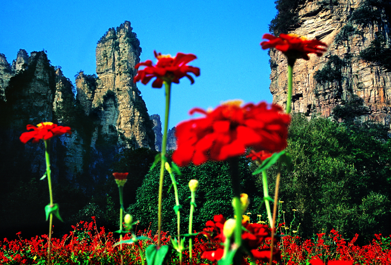 LF線：張家界國家森林公園、猛洞河漂流、鳳凰古城純玩自助五日游